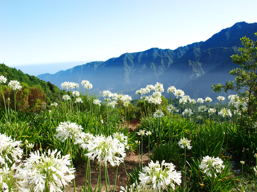 Funchal Serra de Água Safari Tour Tickets